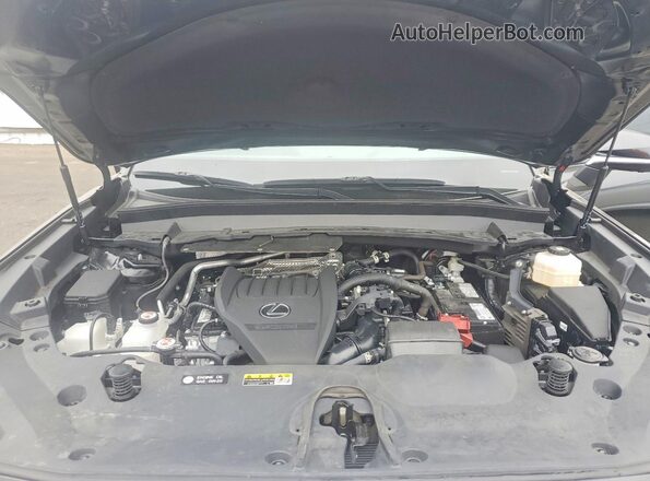 5TDAAAB66SS023193 2025 LEXUS TX Black VIN կոդի պիտակի տեսք