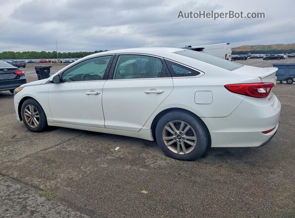 5NPE24AF8GH353044 2016 HYUNDAI SONATA Белый Задняя правая четверть