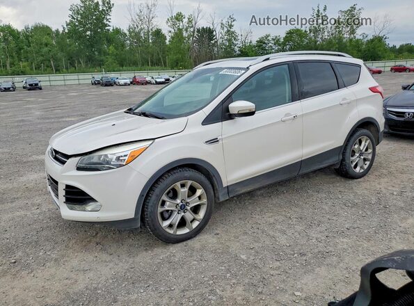1FMCU9J94GUB54941 2016 FORD ESCAPE Белый Задняя левая четверть