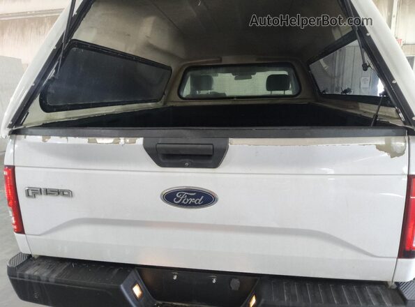 1FTMF1C85HKD20339 2017 FORD F150 White 