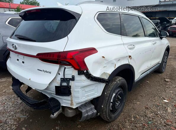 KM8S5DA19PU099554 2023 HYUNDAI SANTA FE White Front view