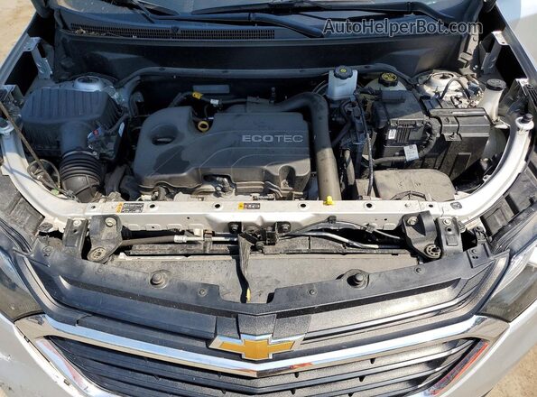 3GNAXUEV4LS656671 2020 CHEVROLET EQUINOX Silver Vista de la etiqueta del VIN