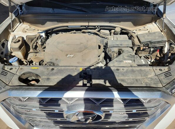 KM8R54HE2LU090065 2020 HYUNDAI PALISADE White VIN sticker view