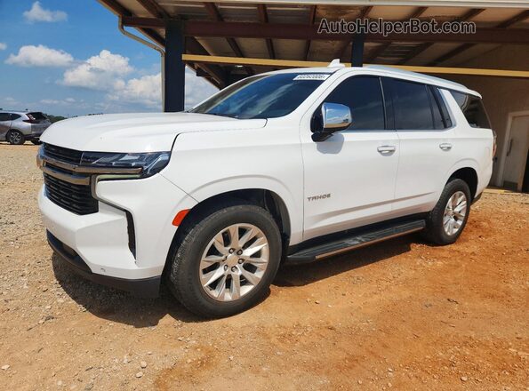 1GNSKSKD9PR338668 2023 CHEVROLET TAHOE White Հետևի ձախ