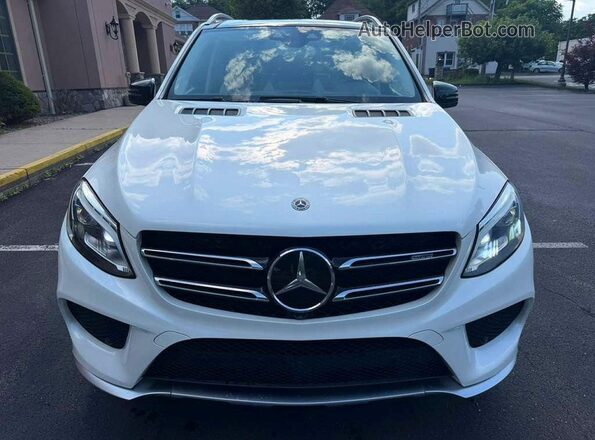 4JGDA6EB4KB203861 2019 MERCEDES-BENZ GLE White Հետևի տեսք