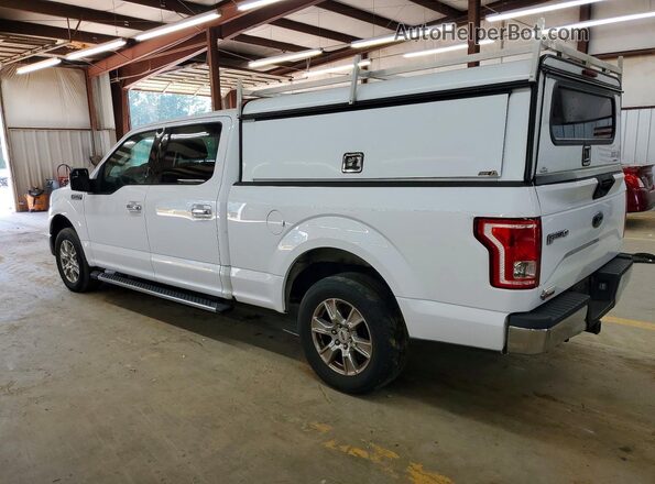 1FTEW1CF5HKD86697 2017 FORD F150 White უკანა მარჯვენა