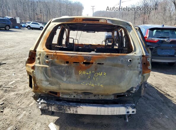 BOS55304596 2020 MITSUBISHI OUTLANDER Синий Вид сзади