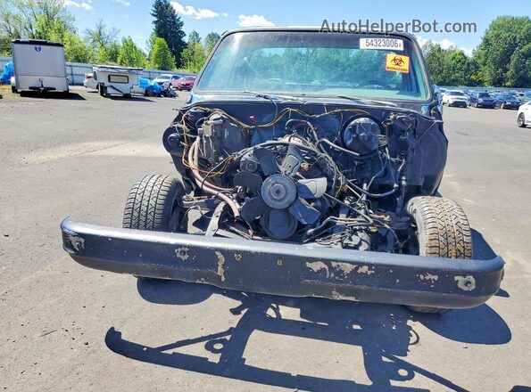 CCL447Z211344 1977 CHEVROLET 1500 Black Widok z przodu