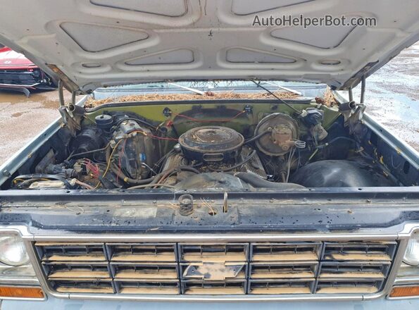 CCZ243F460142 1973 CHEVROLET 1500 Серый Вид задней части салона