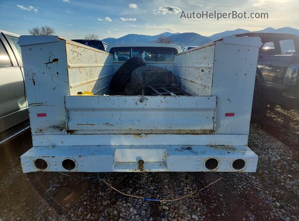 F25HRR41663 1973 FORD F250 White Widok z tyłu