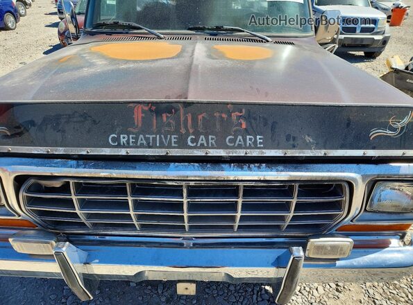 F25JRCE0051 1978 FORD F250 Коричневый Вид задней части салона