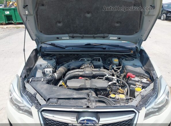 JF2GPABC2G8202567 2016 SUBARU CROSSTREK Tan Հետևի տեսք