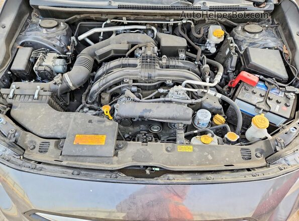 JF2GTABC0PH204264 2023 SUBARU CROSSTREK Gray Սալոնի հետևի տեսք