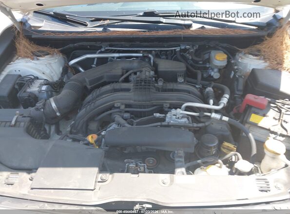 JF2GTACC8L9213751 2020 SUBARU CROSSTREK White Вид ззаду