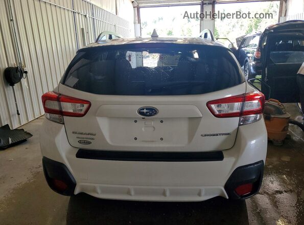 JF2GTAEC4K8341762 2019 SUBARU CROSSTREK Белый Вид сзади