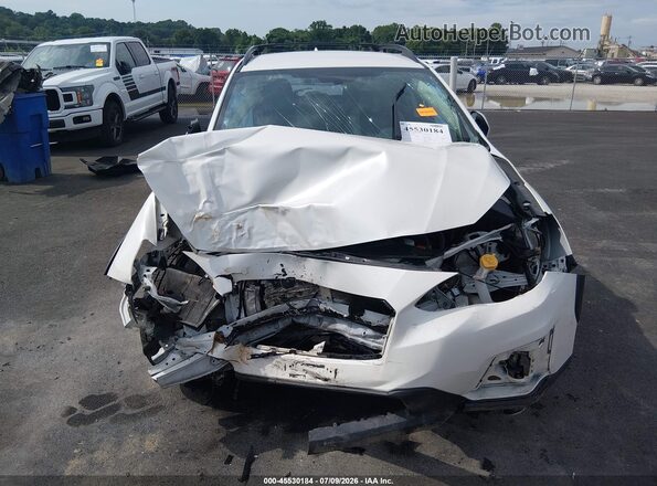JF2GTAMC2KH219368 2019 SUBARU CROSSTREK White Սալոնի հետևի տեսք