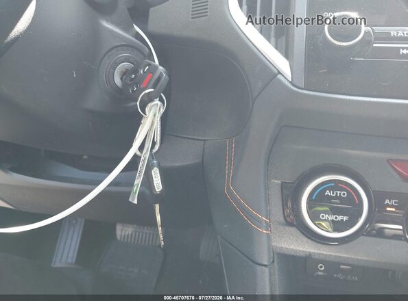 JF2GTAPC5L8246352 2020 SUBARU CROSSTREK Silver Вид ззаду