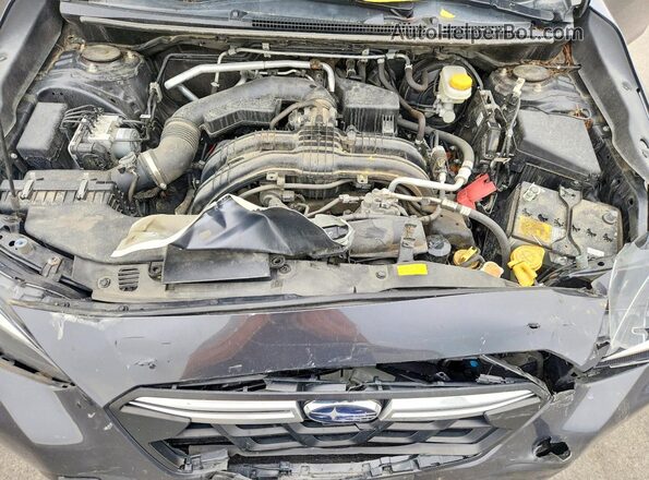 JF2GTAPC8P8204893 2023 SUBARU CROSSTREK Серый Вид задней части салона