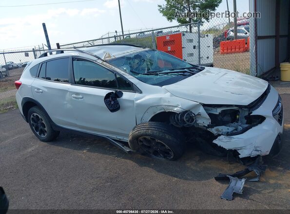 JF2GTAPCXP8200425 2023 SUBARU CROSSTREK Белый Вид задней части салона
