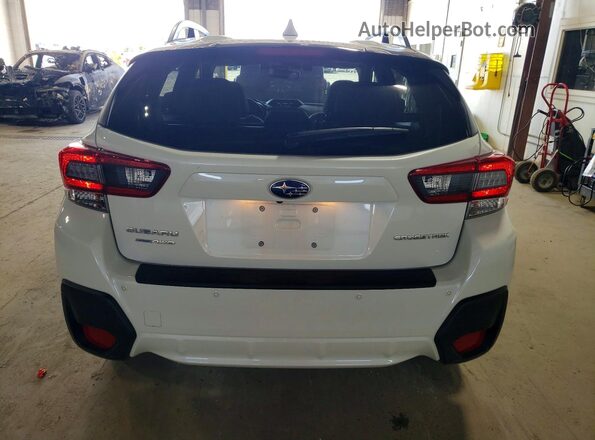 JF2GTHNC6MH240041 2021 SUBARU CROSSTREK Белый Вид сзади