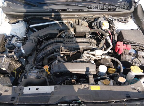JF2GUADC3RH905975 2024 SUBARU CROSSTREK Белый Вид сзади
