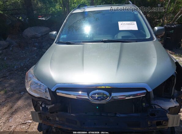 JF2SJADC5GH460137 2016 SUBARU FORESTER Teal Вид задньої частини салону