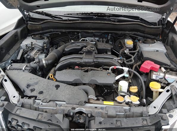 JF2SJAFCXGH513363 2016 SUBARU FORESTER Silver Widok z tyłu