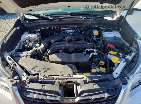 JF2SJAGC9HH579130 2017 SUBARU FORESTER Белый Вид задней части салона