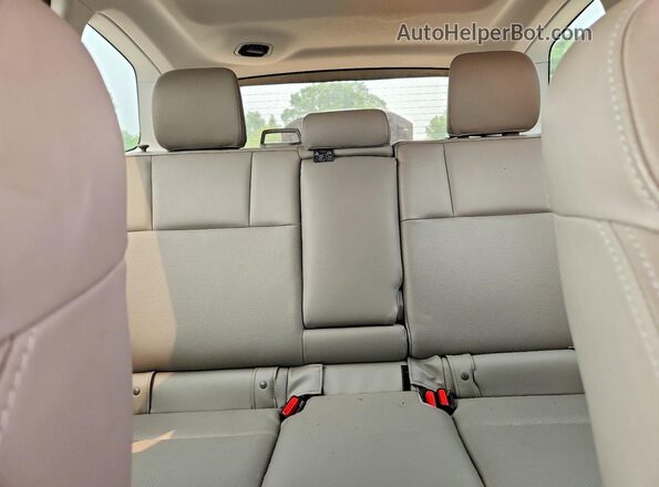 JF2SJAJC5HH460435 2017 SUBARU FORESTER Зеленый Вид задних сидений