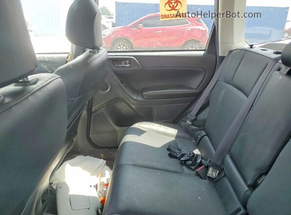 JF2SJAVC3GH500259 2016 SUBARU FORESTER Коричневый Вид задней части салона