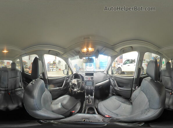 JF2SJAXC0GH499925 2016 SUBARU FORESTER Silver Widok naklejki z numerem VIN