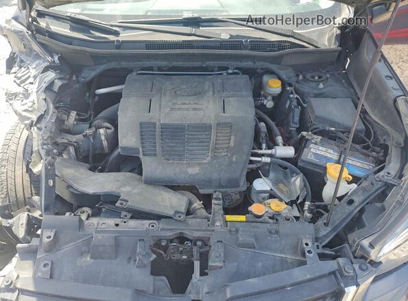 JF2SKACC1KH589855 2019 SUBARU FORESTER Charcoal Вид задньої частини салону