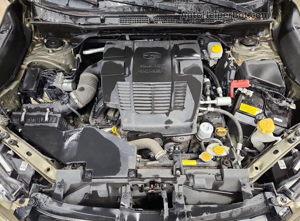 JF2SKACC4RH446165 2024 SUBARU FORESTER Green უკანა სალონის ხედი