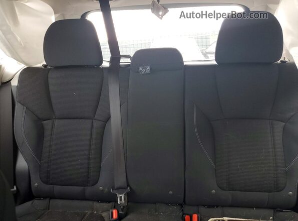 JF2SKADC2LH525162 2020 SUBARU FORESTER Silver Widok tylnych siedzeń