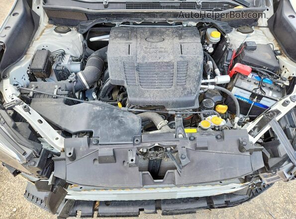 JF2SKADC6LH564451 2020 SUBARU FORESTER White Вид задньої частини салону