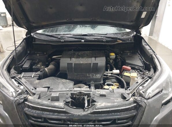 JF2SKAECXPH533188 2023 SUBARU FORESTER Gray Widok z tyłu