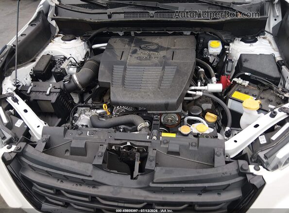 JF2SKAGC5RH426436 2024 SUBARU FORESTER White Rear view