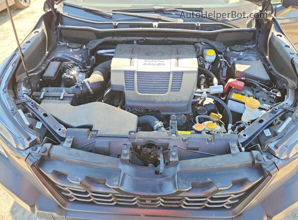 JF2SKAHC6RH519481 2024 SUBARU FORESTER Gray Вид задньої частини салону