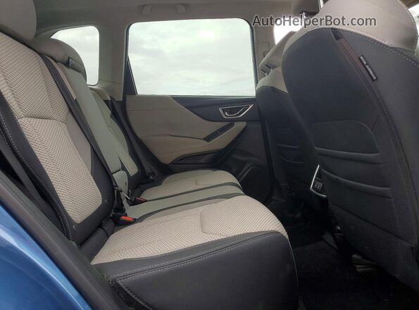JF2SKAJC2LH523089 2020 SUBARU FORESTER Синий Вид задней части салона