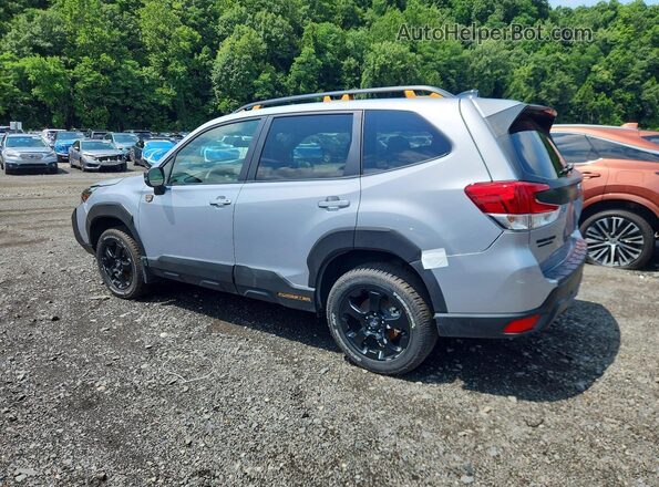JF2SKAJC2SH406031 2025 SUBARU FORESTER Silver Tył lewy