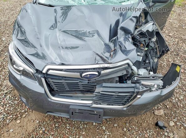 JF2SKAJC3LH405679 2020 SUBARU FORESTER Gray Vista del compartimento del motor