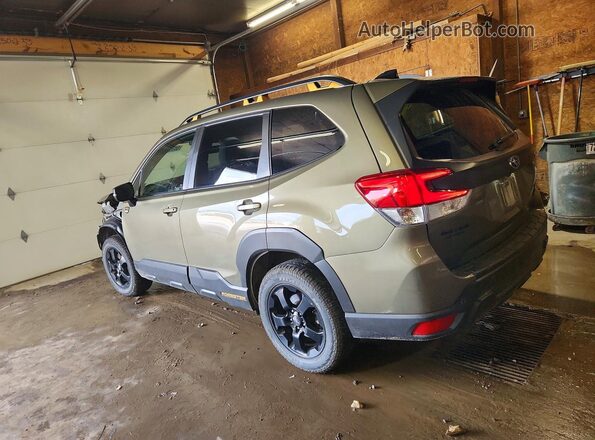 JF2SKAJC6RH527977 2024 SUBARU FORESTER Green Tył lewy