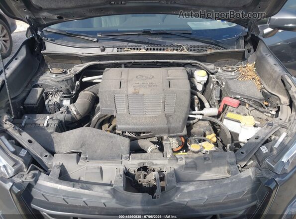 JF2SKANC2PH523335 2023 SUBARU FORESTER Gray Widok z tyłu