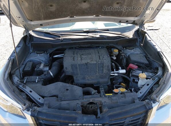 JF2SKAPCXKH540275 2019 SUBARU FORESTER Silver Widok z tyłu