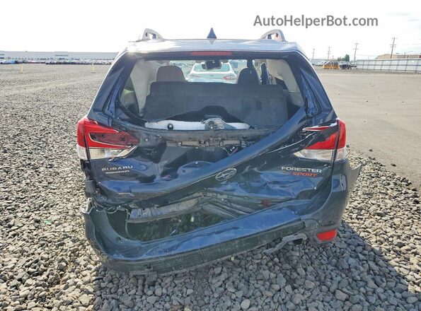 JF2SKARC2LH609636 2020 SUBARU FORESTER Синий Вид сзади