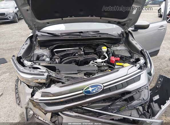 JF2SLDDC2SH597539 2025 SUBARU FORESTER Серый Вид сзади