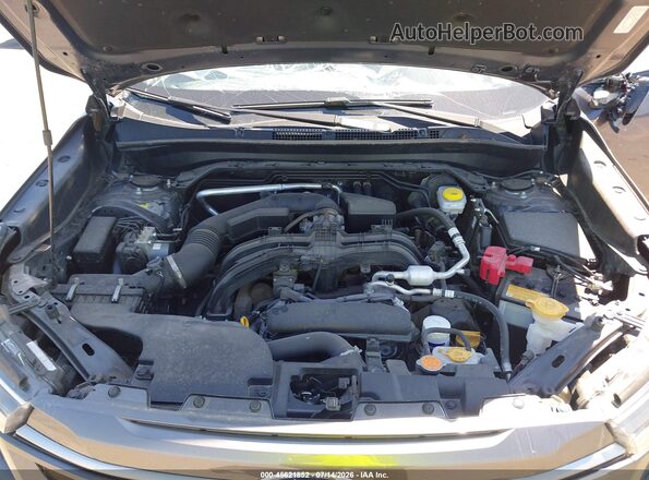 JF2SLDDC8SH586979 2025 SUBARU FORESTER Gray უკანა ხედი