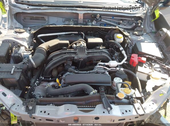 JF2SLDHC5SH492455 2025 SUBARU FORESTER Gray უკანა ხედი