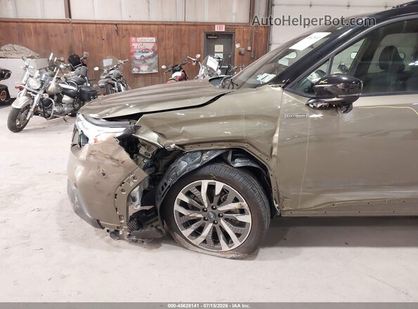 JF2SLSTD9SH407444 2025 SUBARU FORESTER Green 