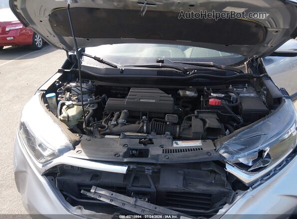 JHLRW2H89KX021227 2019 HONDA CR-V Gray უკანა ხედი